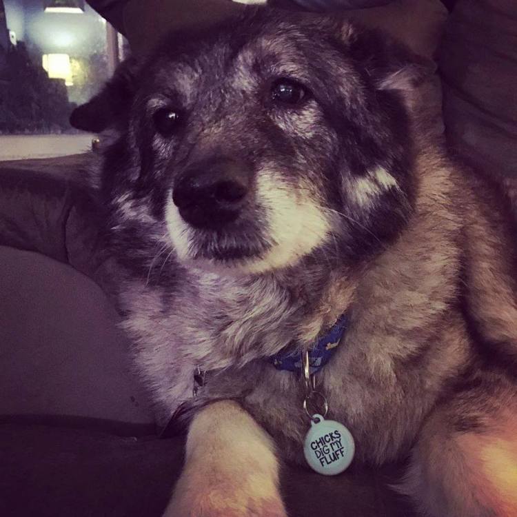 17022256_10103686215995446_6801936150921752671_n