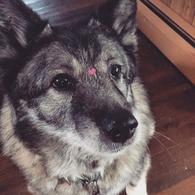 17191251_10103686208540386_7854037983267064545_n