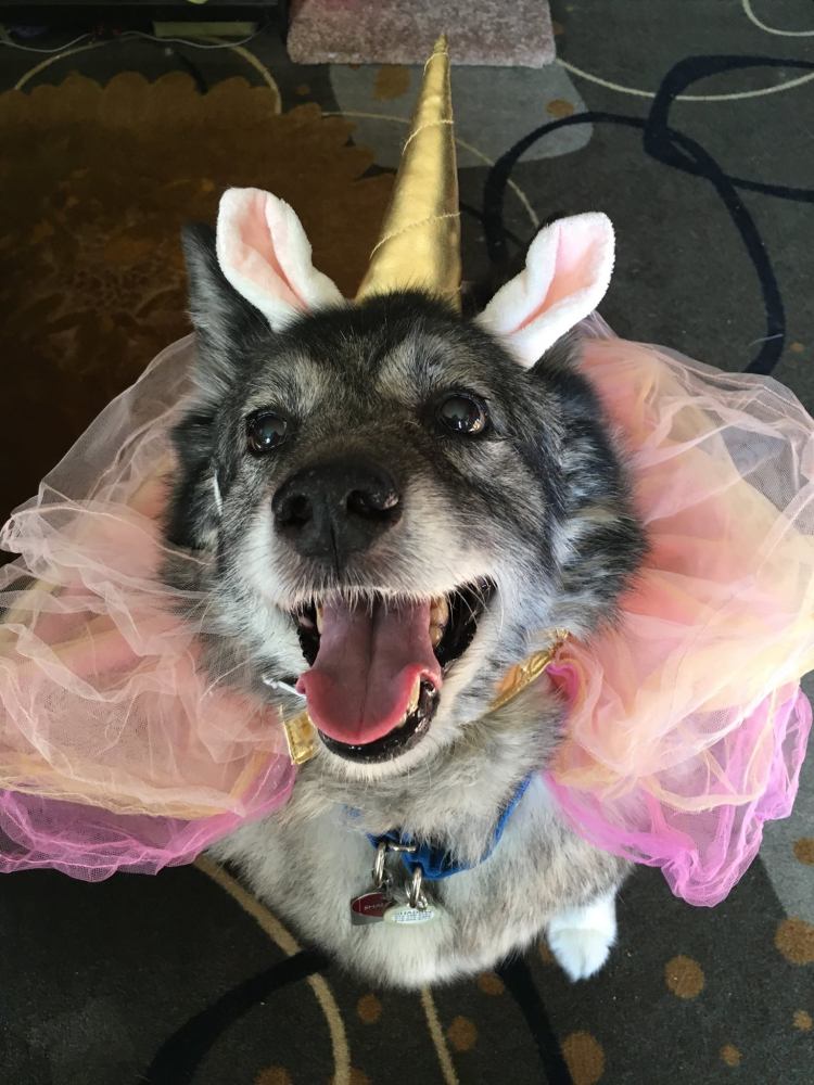 17191677_10103691187652206_6226272339514149871_o