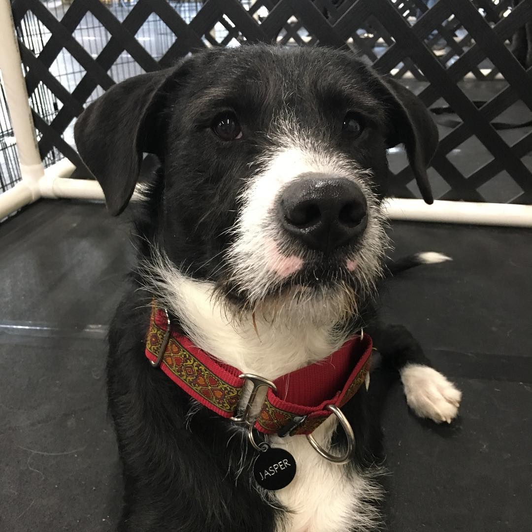 55780634_10105162667674446_4343732741225840640_o